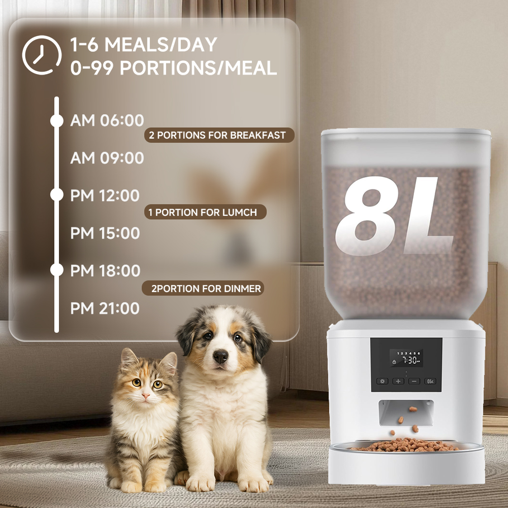 Alimentador Automático para Ga - Kitchen Appliances Video avaliação e preço