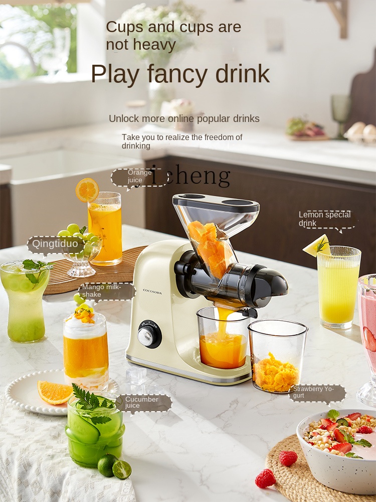 Centrífuga de Baixa Velocidade - Juicer avaliação e preço