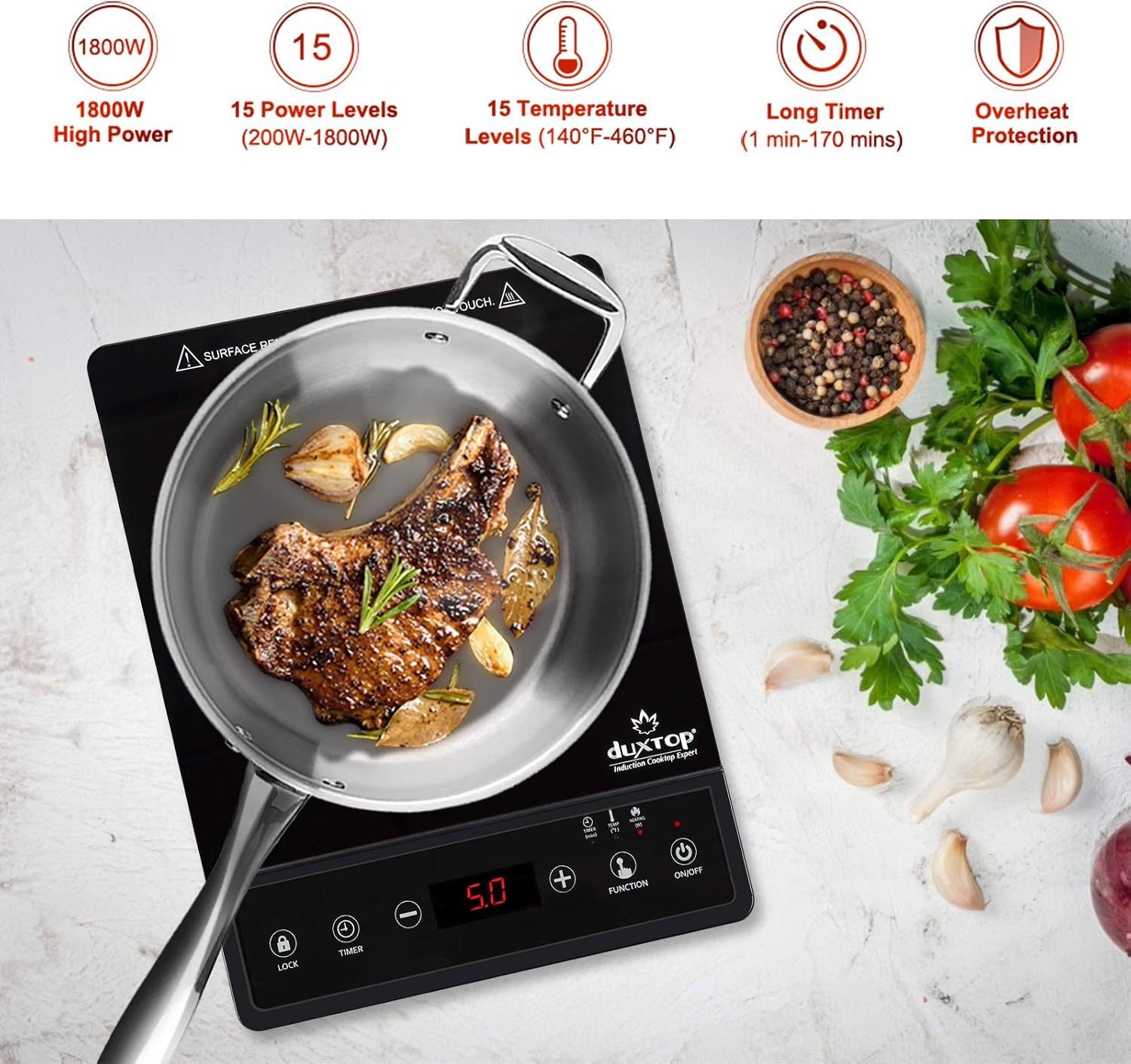 Fogão de Indução Portátil, Que - Induction Cooktop Portable avaliação e preço