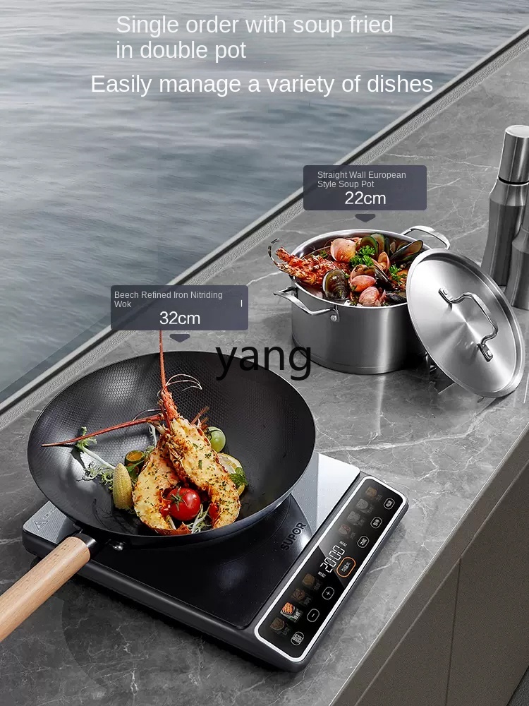 Fogão de Indução Doméstico LMM - Induction Cooker avaliação e preço